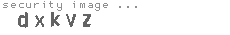 security image