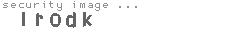 security image