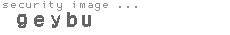 security image