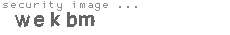 security image