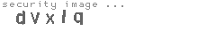 security image