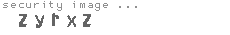 security image