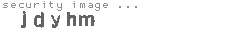 security image