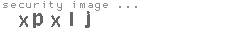 security image
