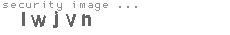security image