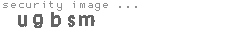 security image