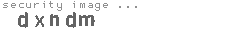 security image