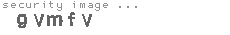 security image