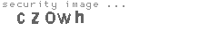 security image
