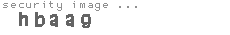 security image