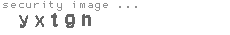security image