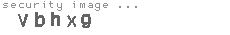 security image