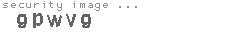 security image
