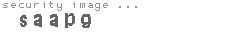 security image