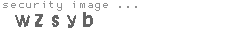 security image