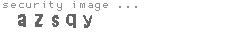 security image