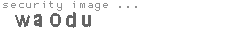 security image