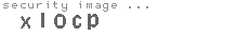 security image