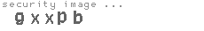security image