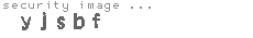 security image