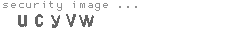 security image