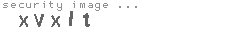 security image