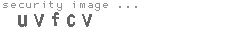 security image