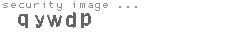 security image