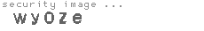 security image