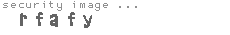 security image