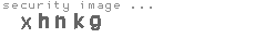security image
