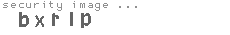 security image
