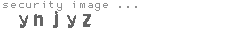 security image