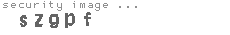 security image