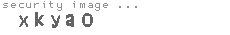 security image
