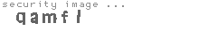 security image
