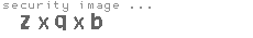 security image