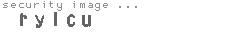 security image