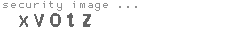 security image