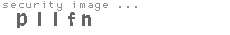 security image