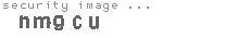 security image