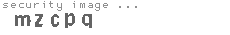 security image