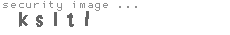 security image