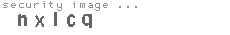 security image