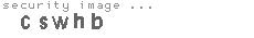 security image