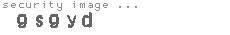 security image