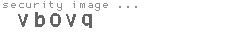 security image
