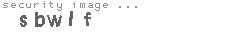 security image