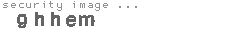security image