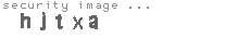 security image